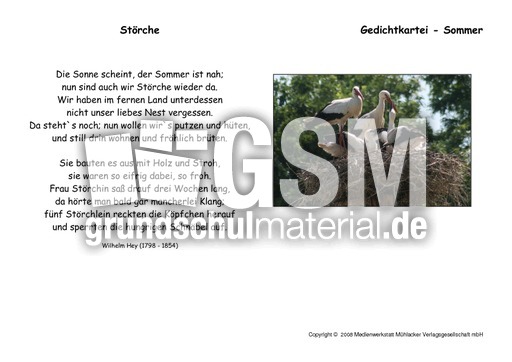 Störche-Hey.pdf